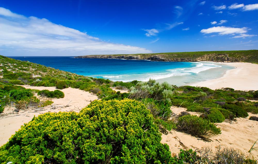 Top Reasons to Visit South Australia