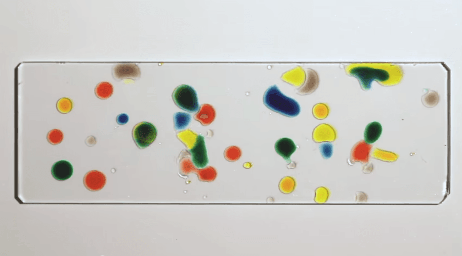 Why Food Coloring Droplets ‘Dance’ Around