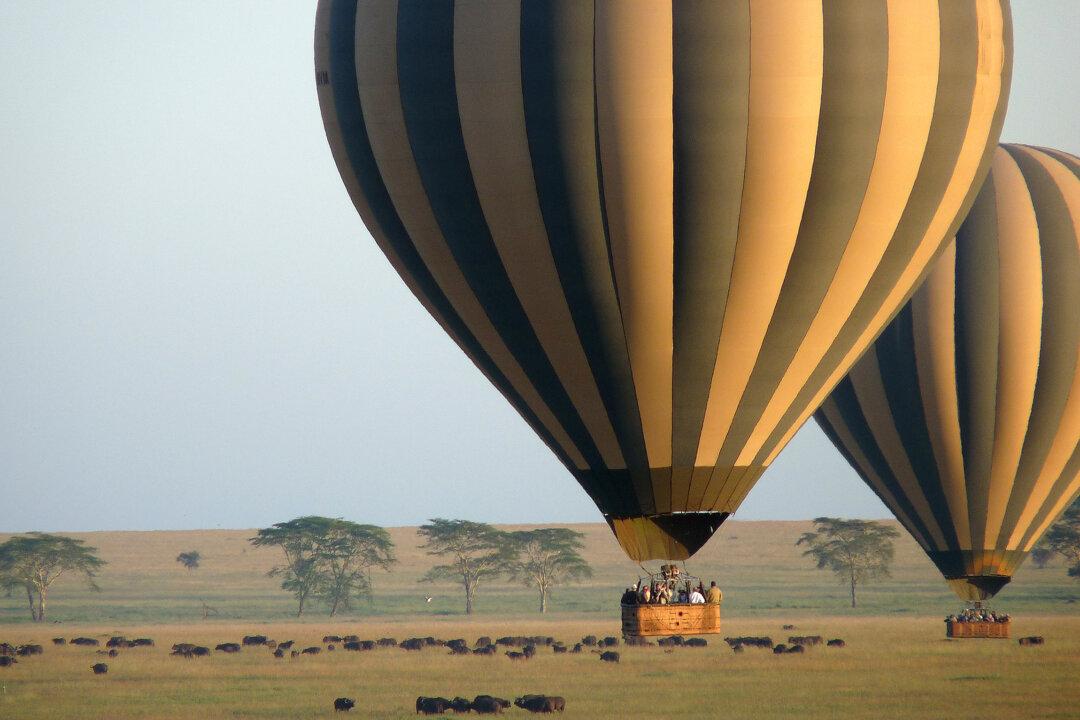 Soaring Over the Endless Serengeti Plain