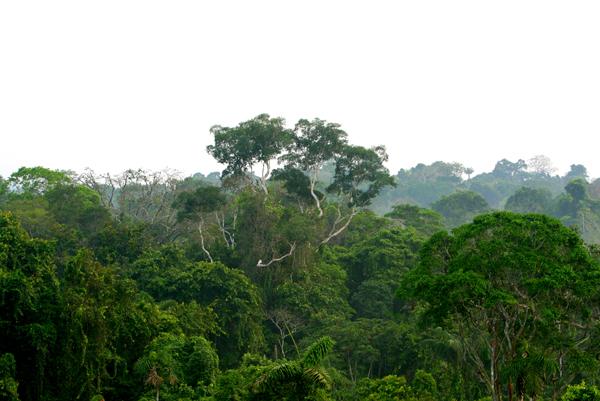 New Report Connects Human Health to Biodiversity Protection