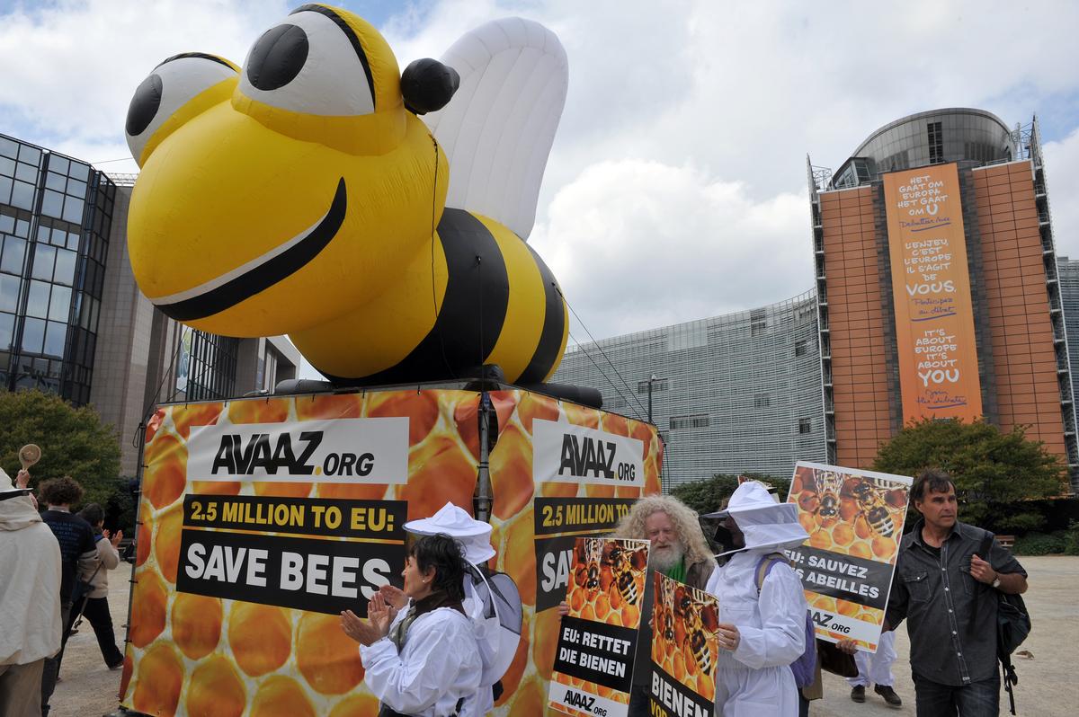 GOP and the Bees—Time for Republicans to Reclaim Their Eco-Heritage