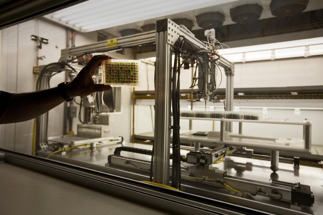 Monsanto Rejects Finding That Roundup Herbicide Is Carcinogenic