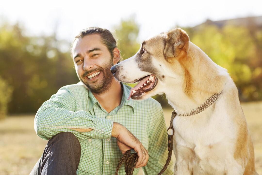 Is Life With a Dog Like Taking Probiotics?