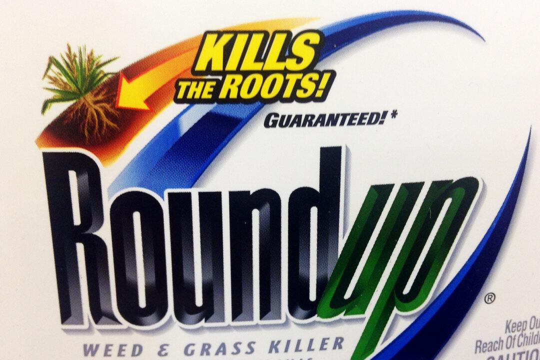 MIT Researcher Suspects Link Between Glyphosate, GMOs and the Autism Epidemic