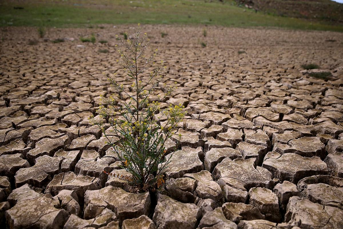 Soil in Danger: How Fixing Agricultural Soil Could Help the World