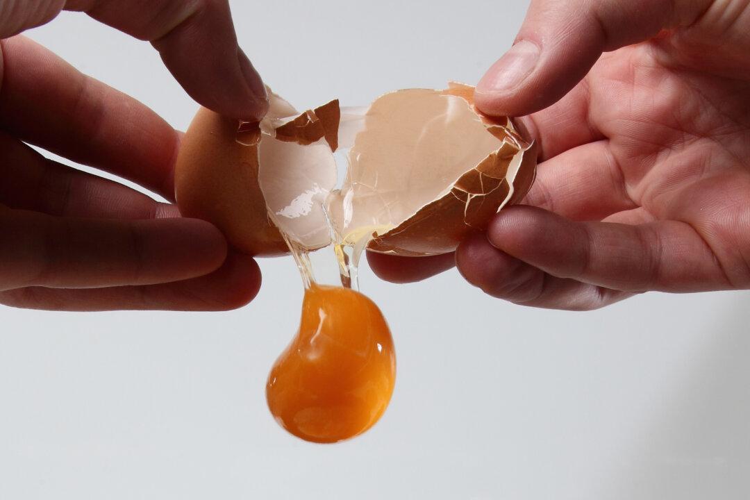 New Study Confirms––Eggs Are A Stroke In A Shell