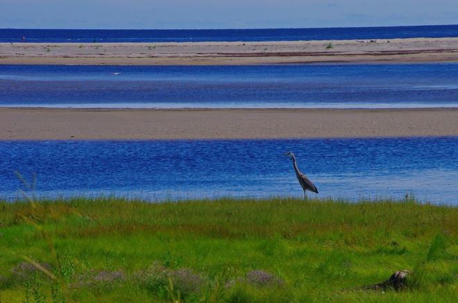 Cycling in Kouchibouguac National Park, New Brunswick