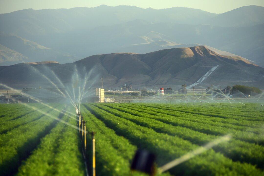 California’s Drought Means You’re Going to Pay More for Almonds, Avocados, Peaches, and Broccoli