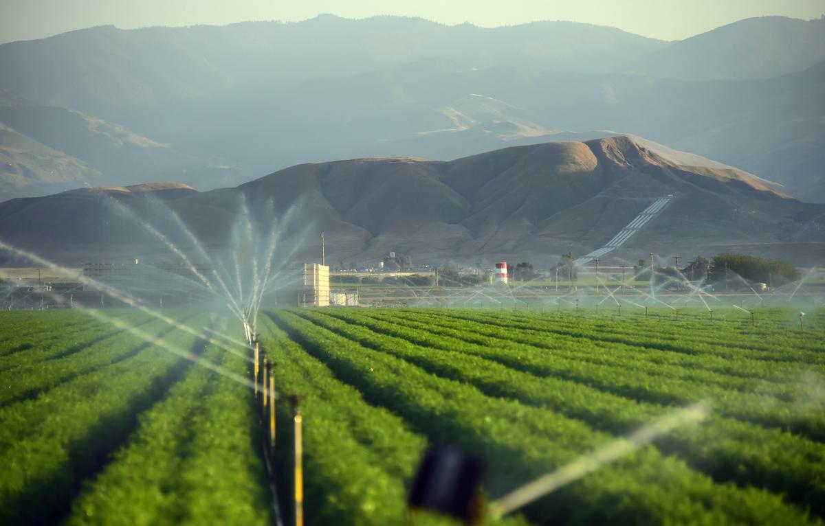 California’s Drought Means You’re Going to Pay More for Almonds, Avocados, Peaches, and Broccoli