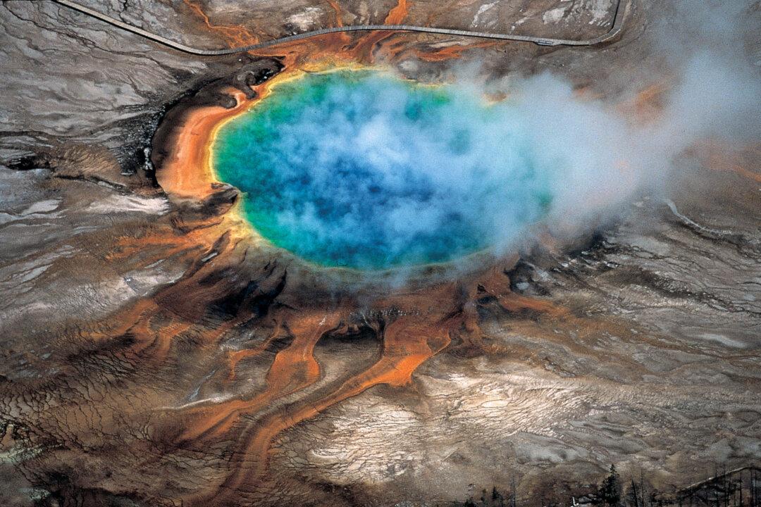 Chinese Tourist Fined $1,000 by Yellowstone For Leaving Walkway, Collecting Water