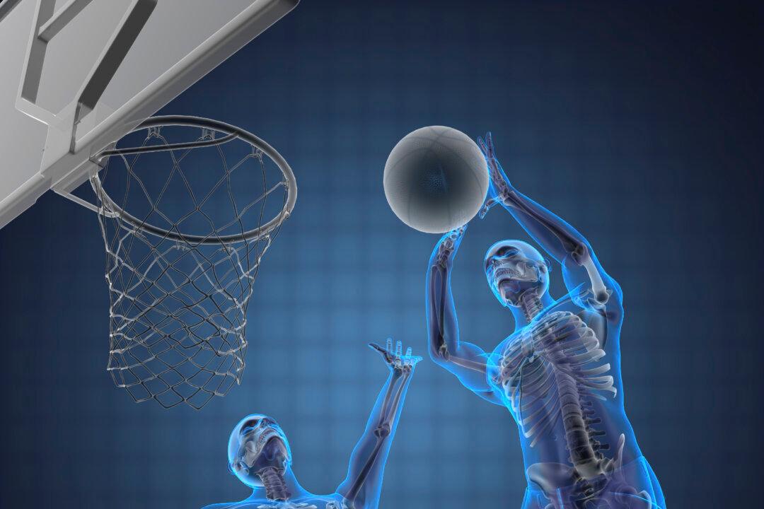 Brainy Bones: The Hidden Complexity Inside Your Skeleton