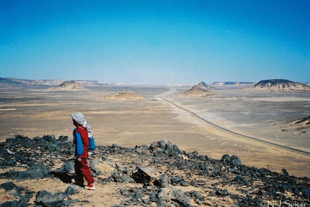 Costs of Climate Change Hugely Underestimated