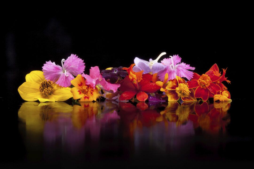 Flower-Eating Not Just For Sybarites