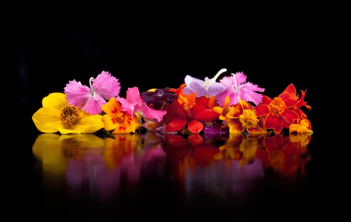 Flower-Eating Not Just For Sybarites