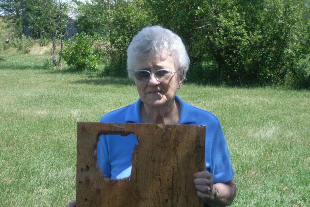 With Spring Comes Sunshine, Flowers and Billions in Insurance Risks