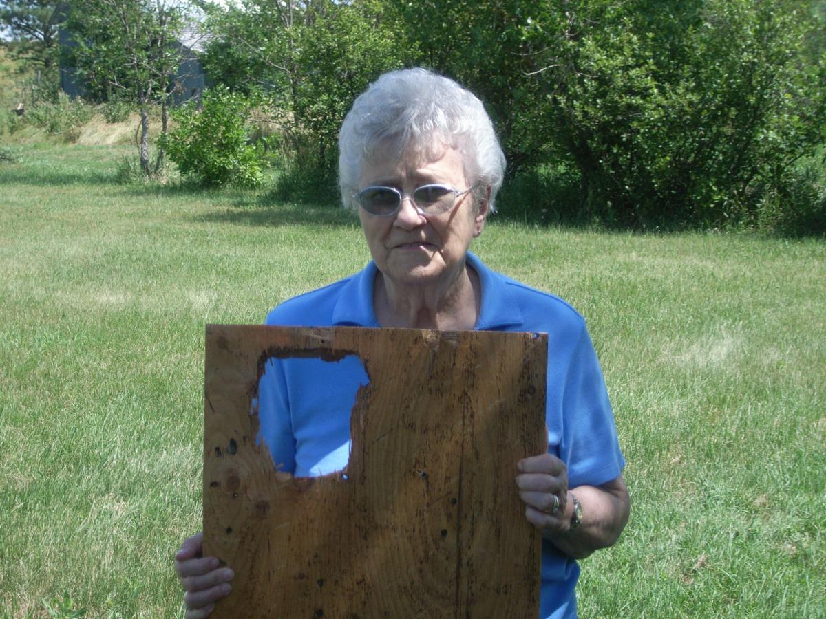 With Spring Comes Sunshine, Flowers and Billions in Insurance Risks