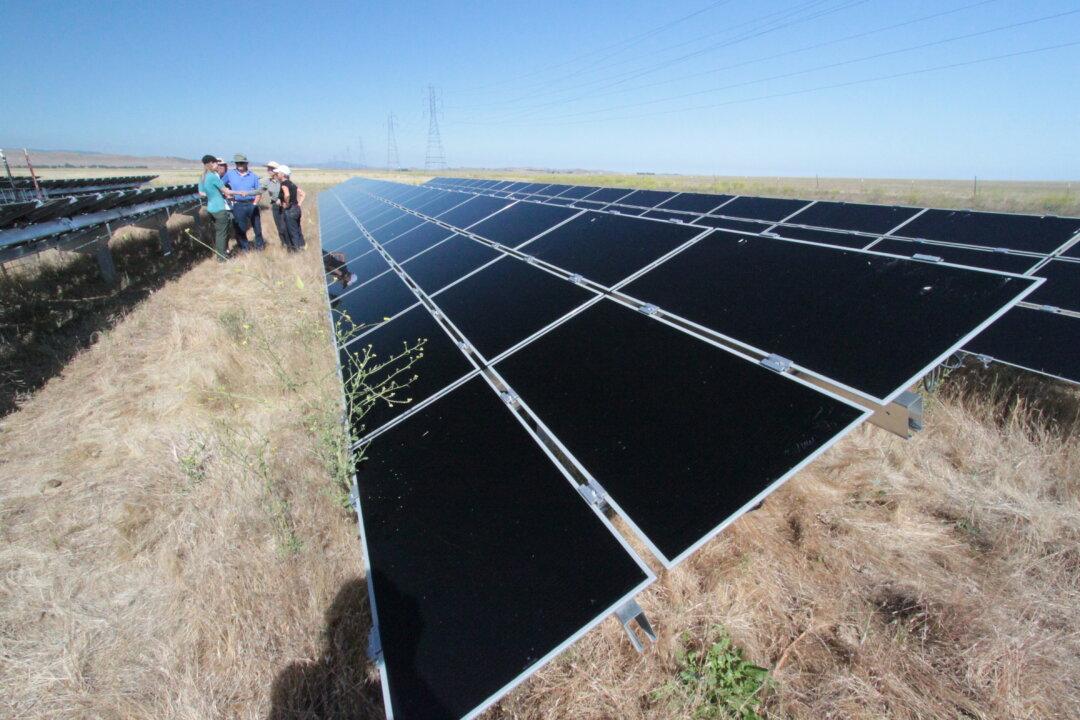 Experts Raise Doubts About California’s Solar Rebates