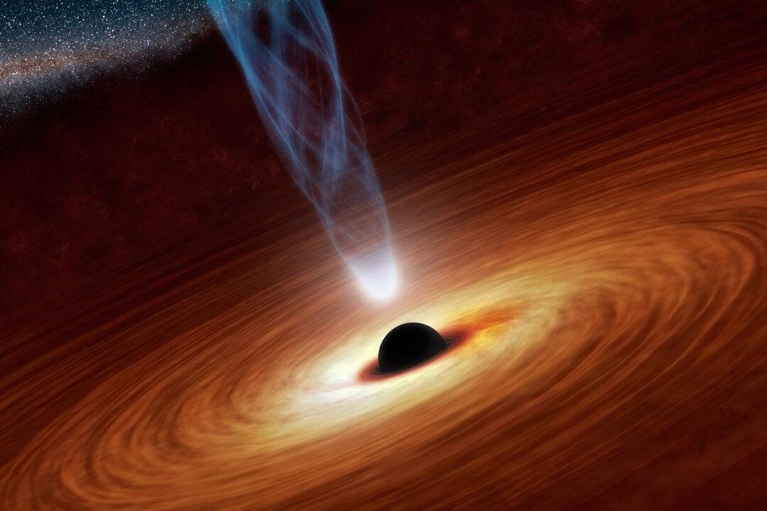 Is Black Hole ‘Information Loss Paradox’ Wrong?