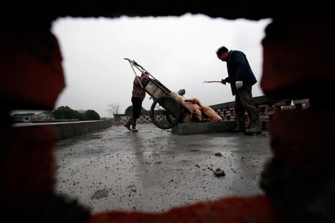 In China, Your Pork May Be Fished out of a River