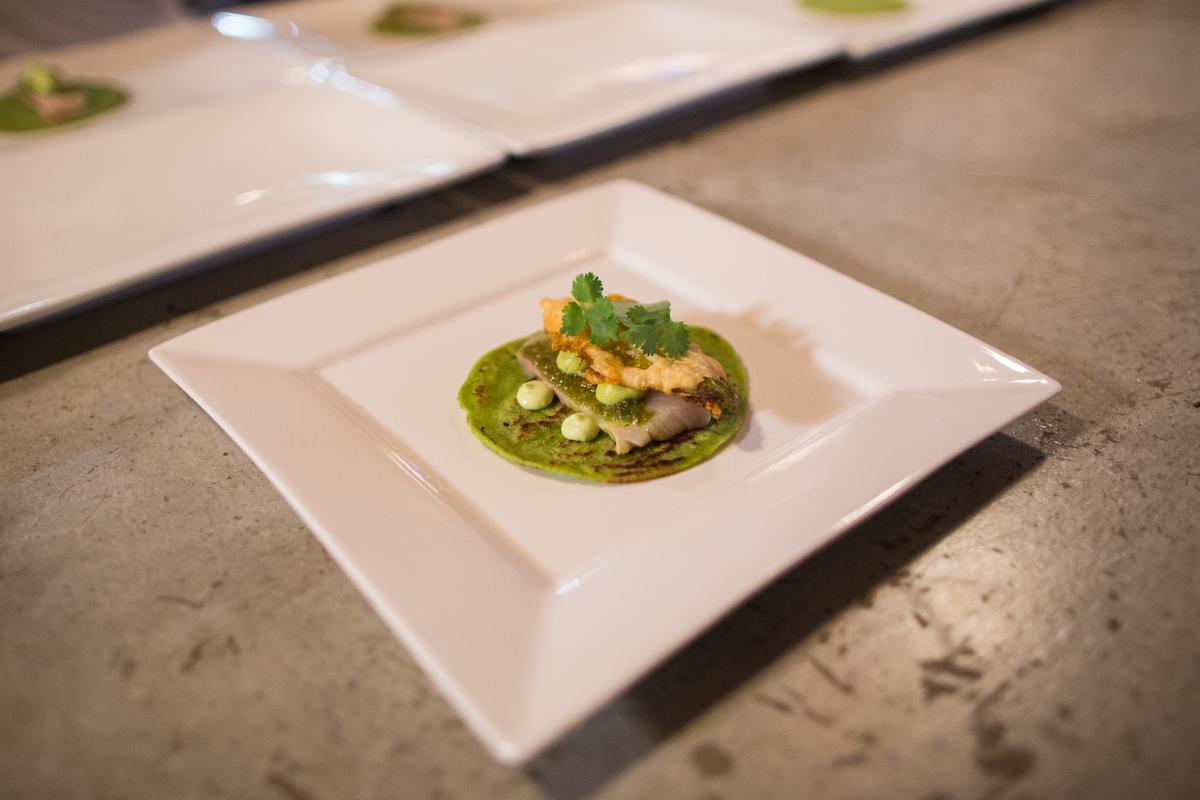 Avocado Madness Crowns Winner