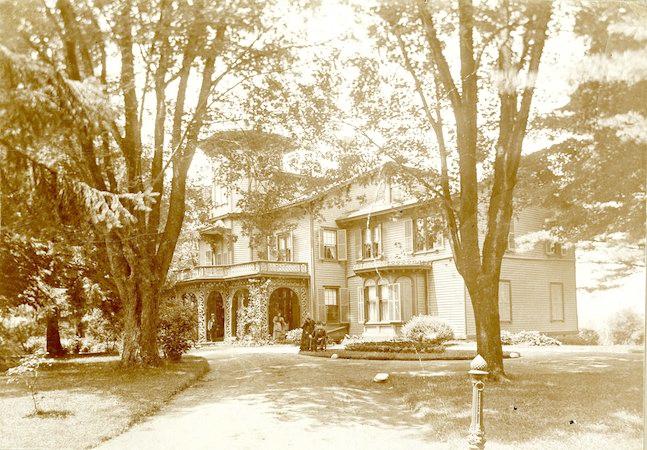 How Trees Tell the Story of 19th Century Millionaires