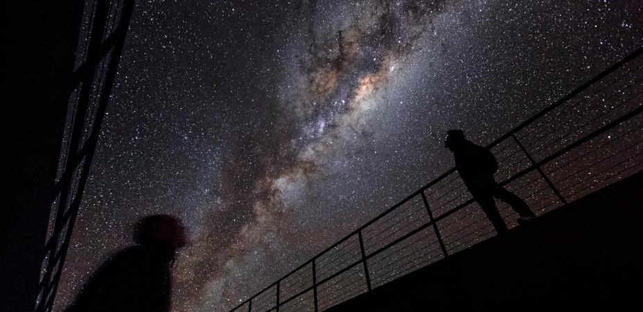 Hidden in Plain Sight: The Milky Way’s New Companions