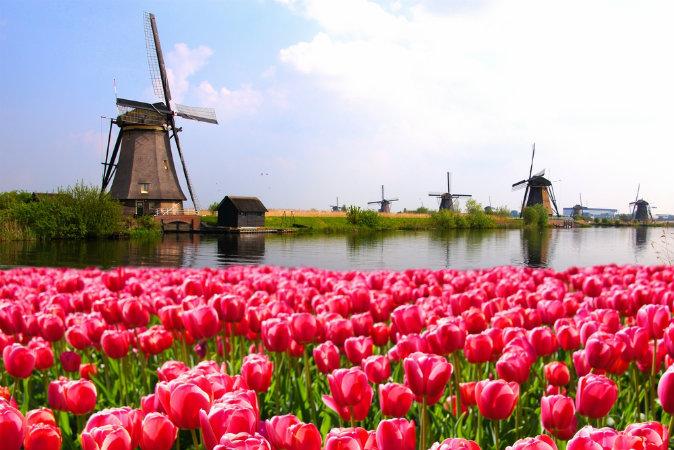 Best Time to Visit the Netherlands