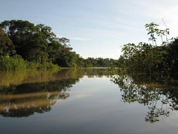 Deforestation for Chocolate Legal in Peru