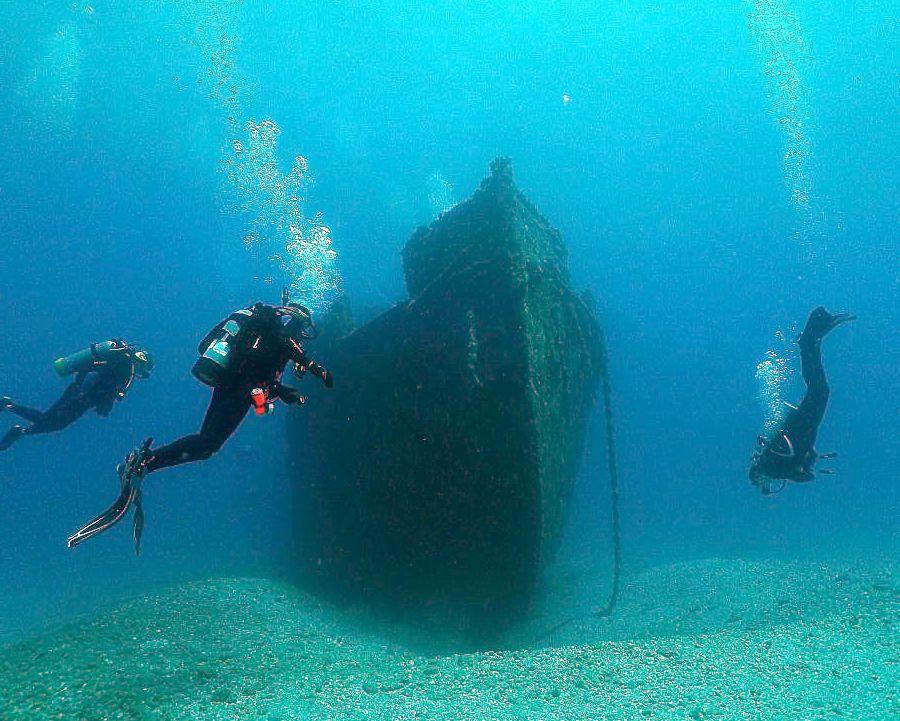 Massacre at McCauley Memorial