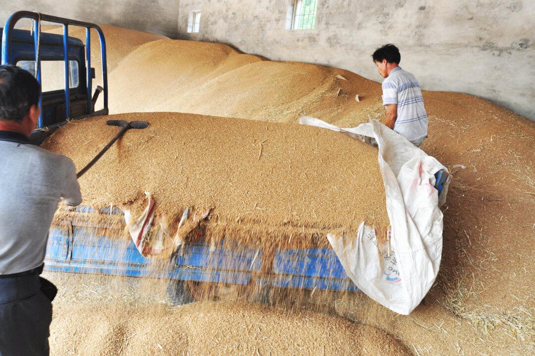 Having the World’s Largest Grain Stockpile Might Not Help China—or the World