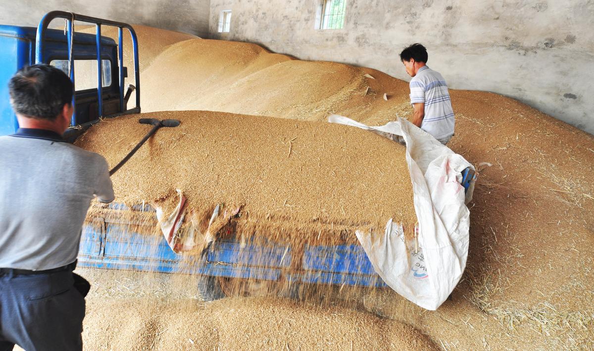 Having the World’s Largest Grain Stockpile Might Not Help China—or the World