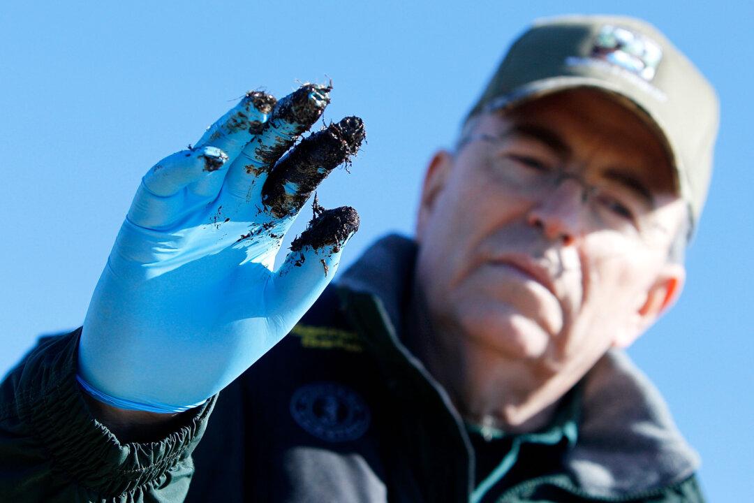 Dispersants Sprayed in Wake of Deepwater Horizon Oil Spill More Toxic Than Oil Alone