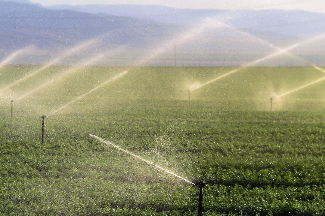 California’s Water Problems Aren’t Just About Drought