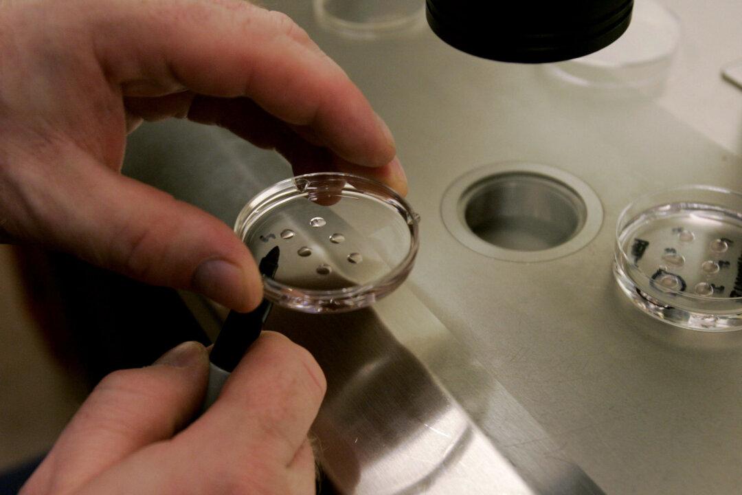 IVF Babies at Greater Risk of Exposure to Potentially Harmful Medicines
