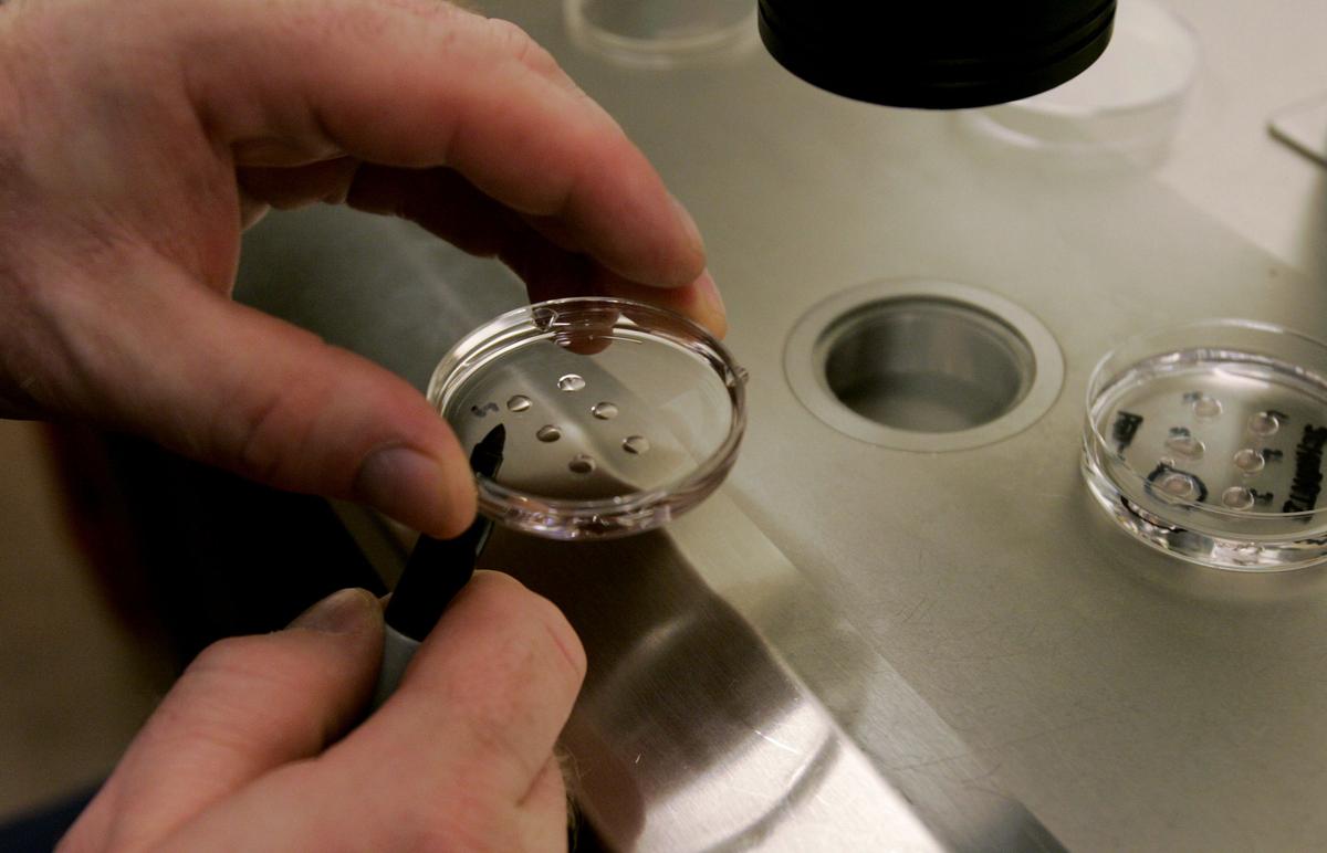 California Requires Large Insurance Companies to Cover IVF