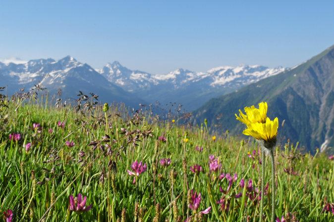 The Best Times of Year to Travel to the French Alps