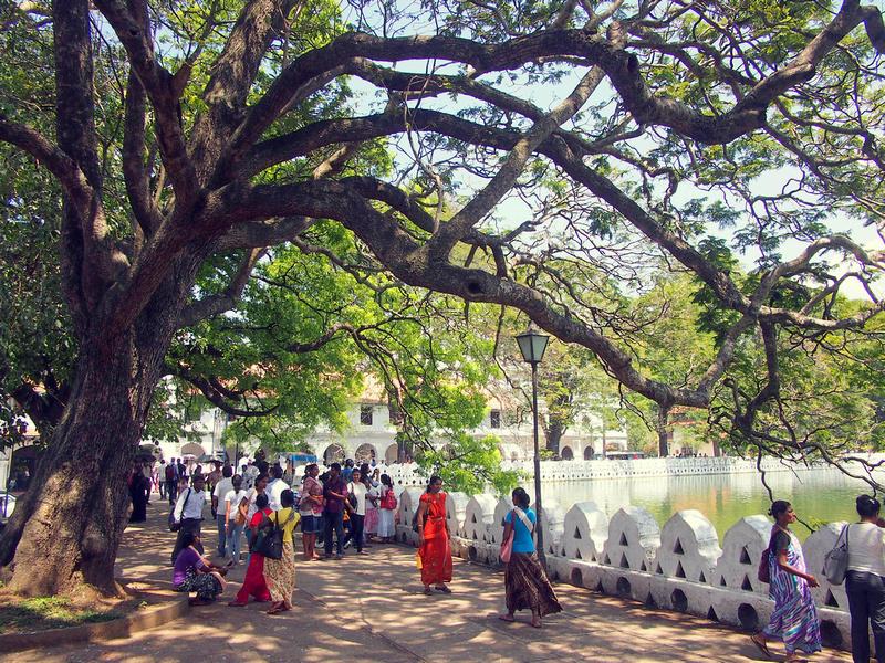 Kandy Lake, Kandy – Sri Lanka
