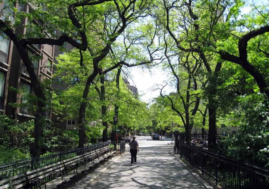 More Money Means More Trees in US Cities