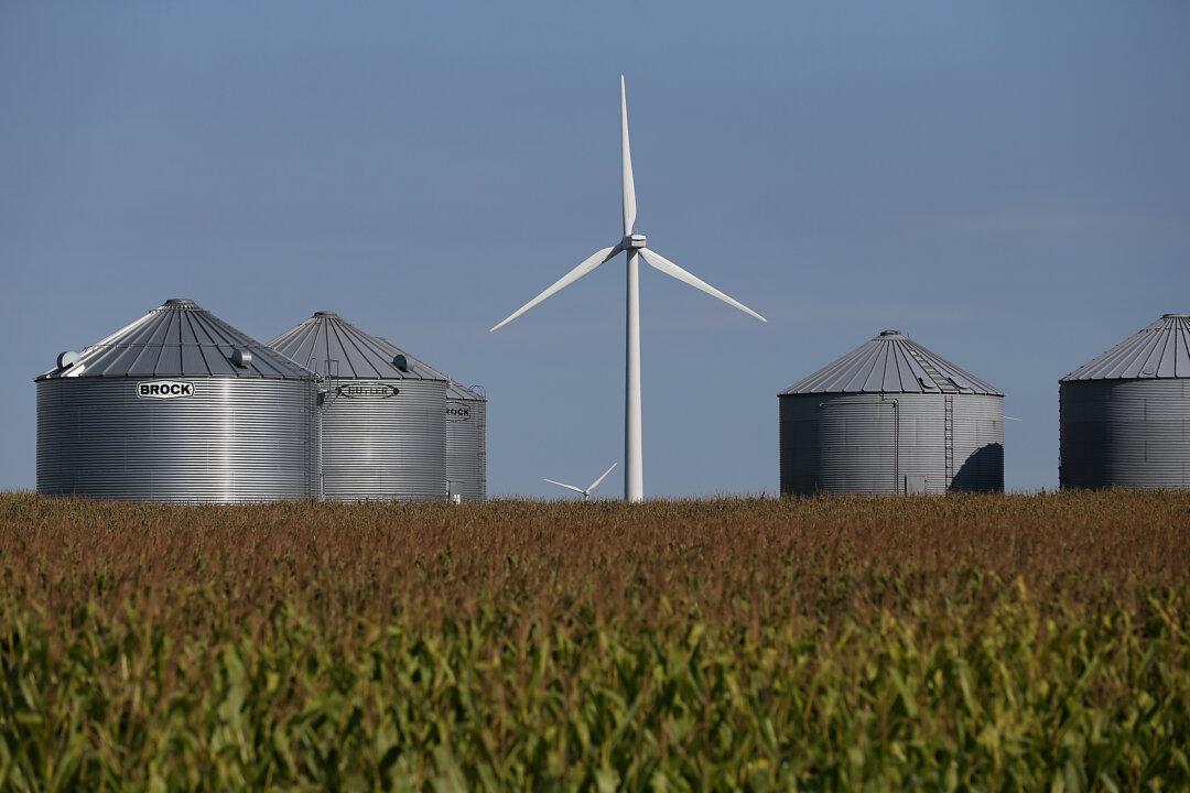 The Renewable Fuel Standard: Can the ‘Tyranny of the Status Quo’ Be Broken?