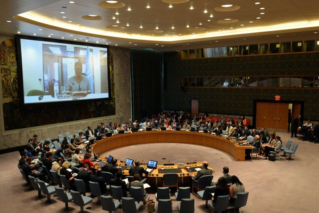 Reforming the UN Security Council: A Tale of Blood, Sweat, and Tears?