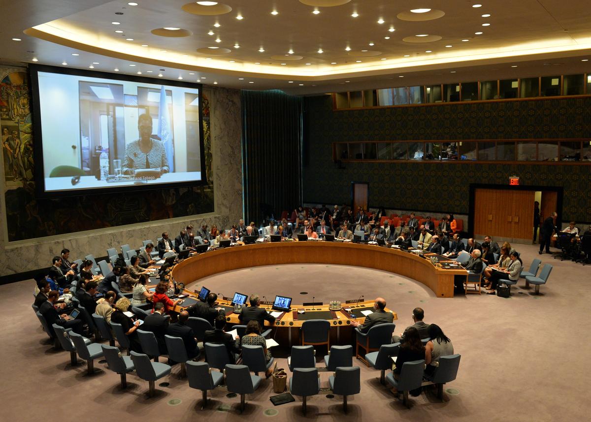 Reforming the UN Security Council: A Tale of Blood, Sweat, and Tears?
