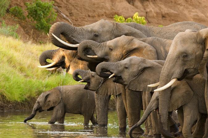 My Special Botswana Blessings