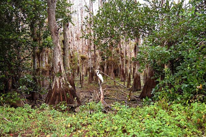 5 Amazing National Park Adventures