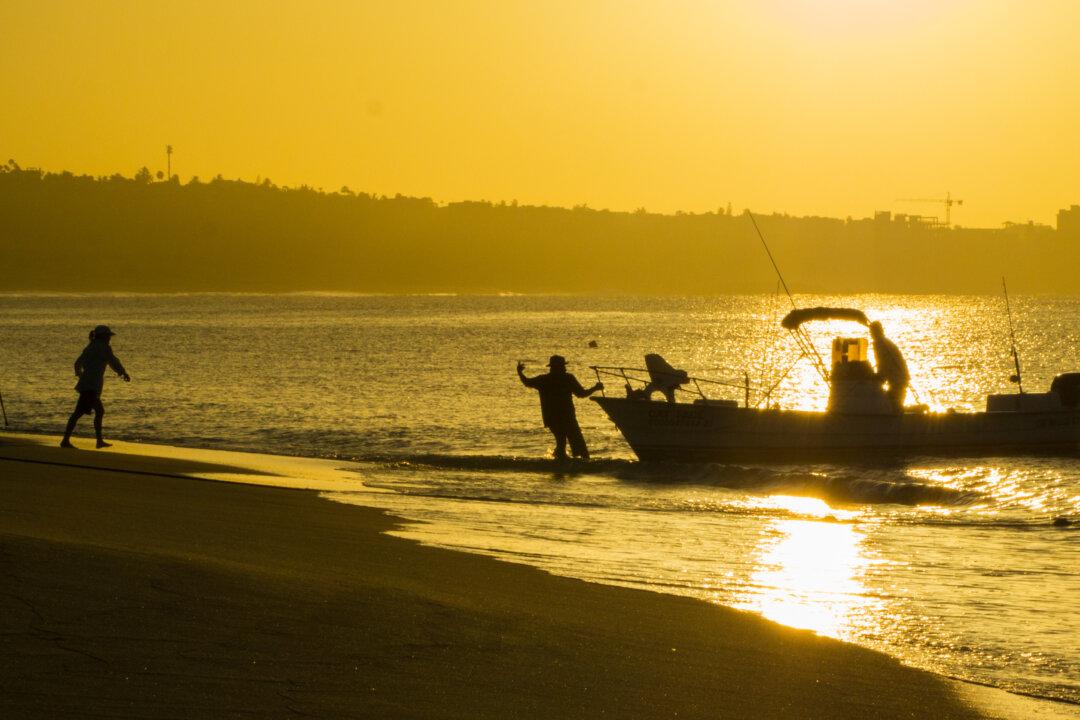 Nobel Prize Winner’s Theory Tested in Baja California Sur