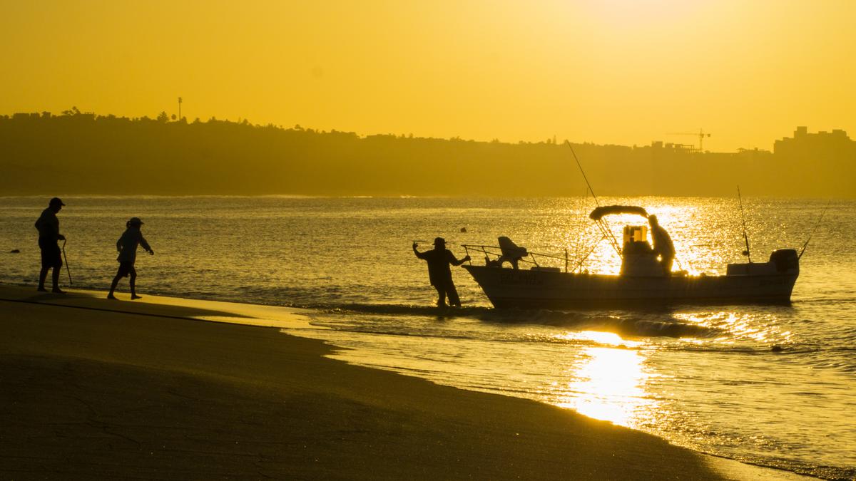 Nobel Prize Winner’s Theory Tested in Baja California Sur
