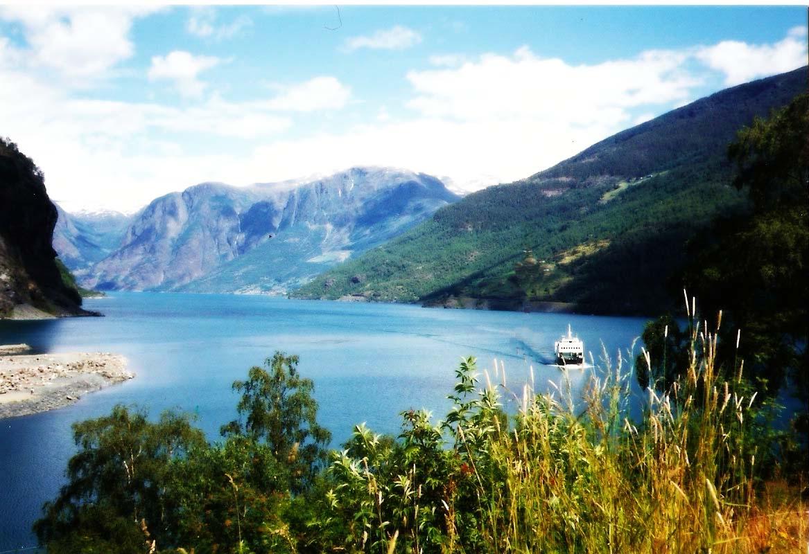 Fjords Are Surprisingly Awesome at Carbon Storage
