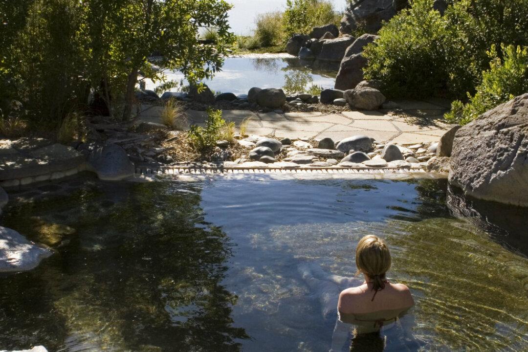 Hot Pool Indulgence in Rotorua