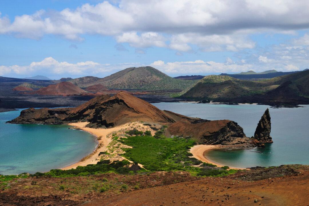 Exploring the Top Reasons to Visit the Galapagos Islands