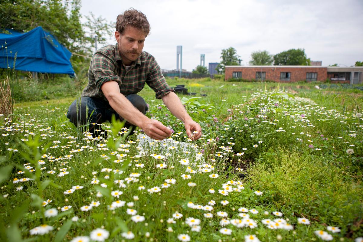 Forget Tech Jobs, the Future Is in Agriculture