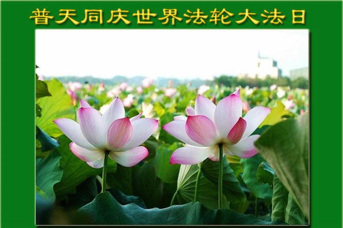 Greetings Cards From China Indicate Practice’s Resilience